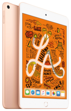 iPad Mini 5 - 256GB - WiFi - Gold - Very Good