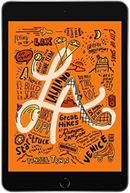 iPad Mini 5 - 256GB - WiFi + Cellular - Space Gray - Very Good